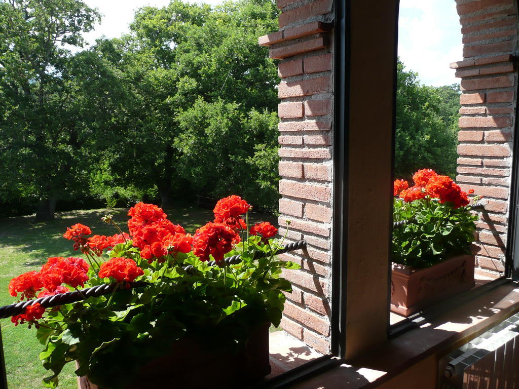 Agriturismo Colli Di Travale Montieri Chambre photo
