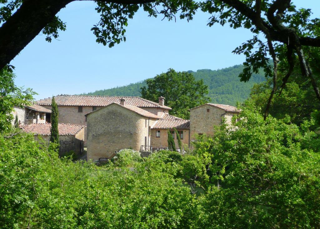Agriturismo Colli Di Travale Montieri Chambre photo